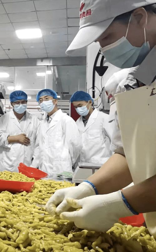 科技助推貴州辣椒產業全鏈升級高質量發展